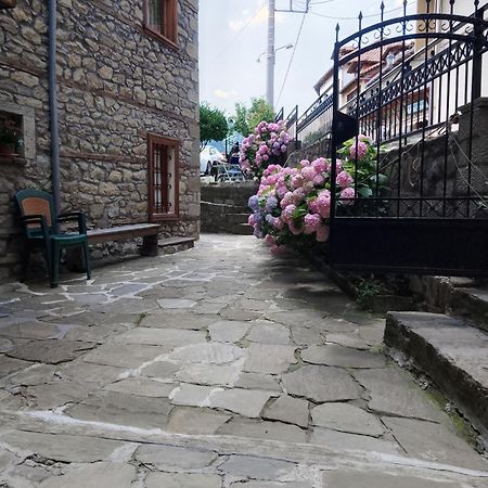 Arka Metsovo Hotel Ngoại thất bức ảnh