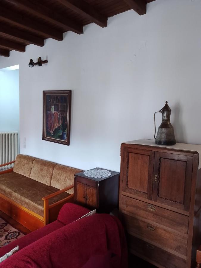 Arka Metsovo Hotel Ngoại thất bức ảnh