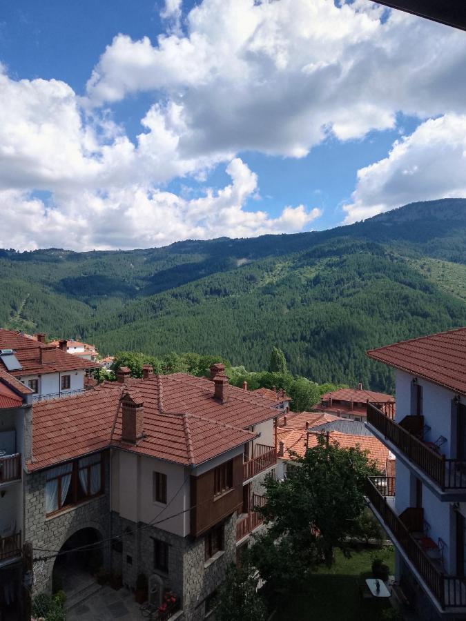 Arka Metsovo Hotel Ngoại thất bức ảnh