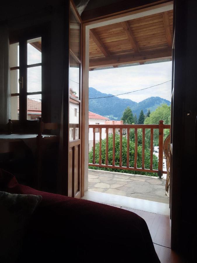 Arka Metsovo Hotel Ngoại thất bức ảnh