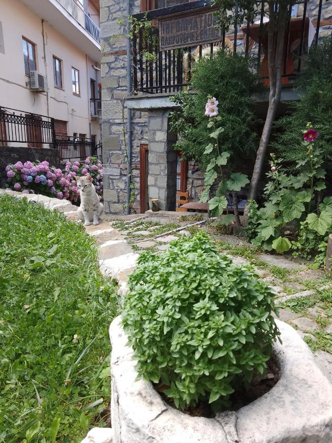 Arka Metsovo Hotel Ngoại thất bức ảnh