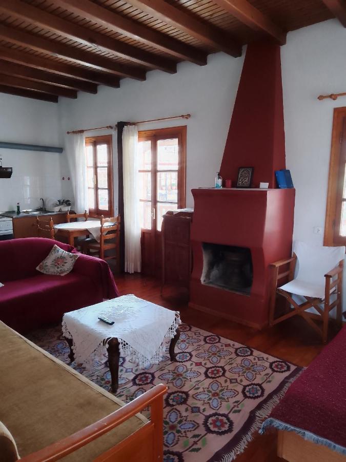 Arka Metsovo Hotel Ngoại thất bức ảnh