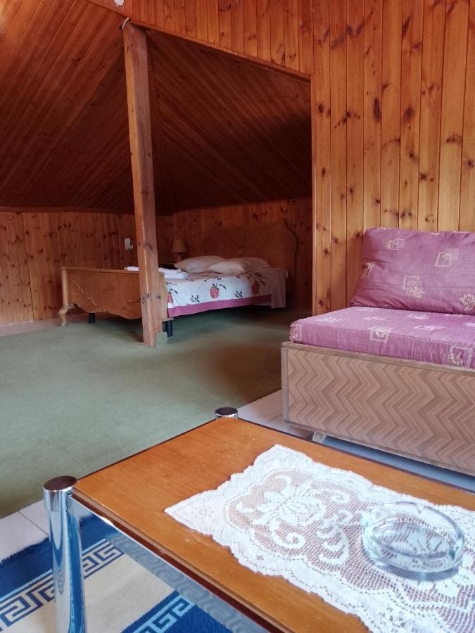 Arka Metsovo Hotel Ngoại thất bức ảnh